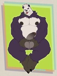 2023 3:4 anthro ball_grab balls belly big_pecs black_body black_claws black_fur black_nipples black_nose circumcised claws english_description erection front_view fur generation_6_pokemon genital_piercing genitals gold_piercing green_background head_tuft hi_res humanoid_genitalia humanoid_penis hunnipanda male multicolored_body multicolored_fur muscular muscular_anthro muscular_arms nintendo nipples pangoro pecs penis penis_piercing piercing pokemon pokemon_(species) scrotum_flap sharp_teeth simple_background smile solo teeth tongue tongue_out tuft white_body white_fur