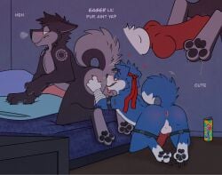 2025 accessory anal animal_genitalia animal_penis anthro anus ass backsack balls bandai_namco bed blue_body blue_fur blush bodily_fluids butt_sniffing canid canine canine_genitalia canine_penis canis connor_the_gaomon digimon digimon_(species) dripping duo fur furniture gaomon gear_(foxgear) genital_fluids genitals grey_body grey_fur headband heart_symbol hi_res knot licking loverboy_(drink) male male/male mammal nose_to_anus open_mouth oral pawpads penis perineum perineum_lick precum precum_drip rimming rotten_robbie sex sniffing sweat teeth tongue tongue_out wolf