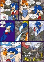 big_breasts comic furry raianonzika sonic_(series) sonic_the_hedgehog sonic_the_hedgehog_(series) tagme vanilla_the_rabbit