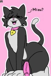 2d anthro balls choker cube_98_(geometry_dash) feline femboy furry gay geometry_dash leonardo2104 luxxdv male penis simple_background solo submissive text