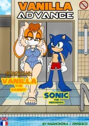 big_breasts comic furry raianonzika sonic_(series) sonic_the_hedgehog sonic_the_hedgehog_(series) tagme vanilla_the_rabbit