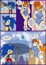 big_breasts comic furry raianonzika sonic_(series) sonic_the_hedgehog sonic_the_hedgehog_(series) tagme vanilla_the_rabbit