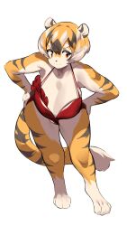 1girls amber_eyes anthro arknights big_breasts breasts female mx99926 simple_background solo solo_female thick_thighs tiger tiger_girl waai_fu_(arknights) white_background wide_hips