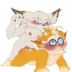 1:1 anal anthro ass beard blind_eye blush duo erection eyewear facial_hair fur genitals glasses heimerdinger hi_res islate_(artist) kled league_of_legends lying male male/male male_only male_penetrated male_penetrating male_penetrating_male mature_male navel nipples nude on_front orange_body orange_fur penetration penis riot_games scar sex white_body white_fur yordle