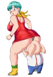 bulma briefs from dragon ball by panarandom