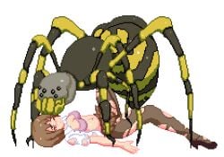 animated bestiality brown_hair female_on_feral insectophilia insects interspecies jk_hazard pink_banana_soft rape ripped_clothing ripped_pantyhose spider torn_clothing torn_pantyhose transparent_background zoophilia