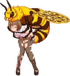 animated bee brown_hair insects jk_hazard pink_banana_soft rape ripped_clothing ripped_pantyhose torn_clothing torn_pantyhose transparent_background