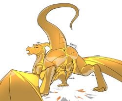 absurd_res alpha_channel anthro_to_feral beefrequency clothing cum cumming dragon ftm_transformation gold hi_res horn male male_only petrification raibiash tail tongue torn_clothing transformation wings