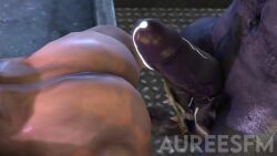 2boys 3d 3d_(artwork) 3d_animation abs against_surface anal anal_sex animated anthro anthro_dominating_human anthro_on_human anthro_penetrating_human arm_grab ass_jiggle aureesfm back back_muscles back_view balls bara beefy bent_over big_ass big_dom_small_sub big_muscles big_penis bouncing_balls bovid bovine bubble_butt capcom cattle chris_redfield cum cum_drip cum_in_ass cum_inside cum_leaking cum_on_balls cum_on_penis cum_string dat_ass dead_by_daylight doggy_style dominant_anthro dominant_male domination duo ejaculation erection from_behind gay gay_anal gay_domination gay_sex grunting hairy huge_cock human human_on_anthro human_penetrated humanoid_penis interspecies larger_anthro larger_male leaking_cum looking_back male male/male male_only male_penetrating_male manly minotaur moaning monster mostly_nude mp4 multiple_angles multiple_boys muscle muscles muscular muscular_anthro muscular_ass muscular_back muscular_male muscular_thighs mythology nipples nude open_mouth penis purple_body purple_skin resident_evil rough_sex size_difference smaller_human smaller_male smaller_penetrated sound standing standing_sex submissive submissive_human submissive_male table tagme tail testicles the_oni_(dbd) thrusting uncensored veiny_penis video voice_acted wrist_grab yaoi