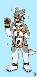 anthro bondage_gear bondage_gloves bone_gag canid canine canis chastity_cage chastity_device clothing collar cuff_(restraint) gag handwear harness harness_gag hi_res hybrid jinnjuicin male mammal mittens muzzle_(object) pawpads restraints solo wolf wolfdog