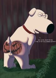 1boy 20th_century_fox 20th_century_studios 20th_television_animation brian_griffin dewkei family_guy fox_corporation fuzzy_door_productions male male_only seth_macfarlane