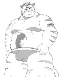 1boy 2023 anthro belly blush bulge clothing felid genital_outline hi_res hitachi_(tamacolle) humanoid_hands kemono male male_only mammal monochrome moobs nipples overweight overweight_male pantherine penis_outline simple_background solo solo_male sv_grart tamacolle tiger underwear white_background