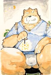 2023 anthro asian_clothing balls_outline bear black_nose blush brown_body bulge closed_eyes clothing east_asian_clothing fireworks fundoshi genital_outline japanese_clothing jinbei_(clothing) kemono kisukemk777 male male_only mammal moon night outside overweight overweight_male penis_outline solo star underwear white_clothing white_fundoshi white_underwear