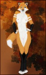 aethelwulf anthro breasts canid canine female fox full-length_portrait genitals hi_res hindpaw mammal nipples paws portrait pussy raised_hips solo