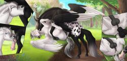 2023 absurd_res alicorn alterion_(alter) anal anal_sex animal_genitalia animal_penis anus appaloosa appaloosa_(marking) ass balls balls_deep bite blush bodily_fluids cum cum_drip cum_in_ass cum_in_mouth cum_inside cum_on_anus cum_on_face cum_on_tail cum_splash cum_string detailed_background digital_media_(artwork) draft_horse dripping duo equid equine equine_anus equine_genitalia equine_penis erection feathered_wings feathers fellatio feral feral_on_feral fjord_horse flared_penis fur genital_fluids genitals hi_res hooves horn horse kamilazu lying male male/male male_penetrated male_penetrating male_penetrating_male mammal mane markings neck_bulge on_back open_mouth oral pegasus penetration penile penis puffy_anus pull_out sex spots spread_legs spread_wings spreading tail tongue two_tone_tail white_body white_fur wings zephyr_(shgold)