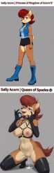 sally acorn from sonic (series)