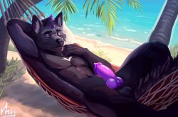 anthro bar bara canid canine canis digital_media_(artwork) discounts domestic_dog fluffy furry hi_res illustration inij invalid_tag male male/male mammal muscular nsfw pride sea solo summer talongrey water yaoi ych