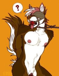 0ct0m0n0 anthro arms_tied ball_gag blindfold bondage bound brown_background brown_body brown_fur brown_nose canid canine clitoris cuntboy cuntboy_anthro fur gag gagged genitals hair hands_behind_back hi_res humanoid_genitalia humanoid_vulva intersex intersex_anthro mammal navel nipples notched_ear nude obscured_eyes open_mouth orange_background portrait pussy red_gag red_hair red_nipples red_tongue rope_around_neck simple_background solo three-quarter_portrait tongue tongue_out vulva white_background white_body white_fur white_hair
