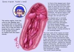 ikachangenema inkling inkling_girl inkling_pussy splatoon splatoon_(series) splatoon_3 vagina vagina_diagram vaginal_juices