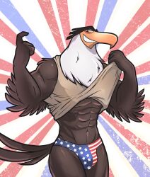 1boy 4th_of_july abs absurd_res accipitrid accipitriform angry_birds anthro athletic avian bald_eagle beak beckoning big_muscles bird blush brown_body brown_fur bulge clothed clothing clothing_lift dasoka detailed_bulge digital_media_(artwork) eagle elbow_feathers eyebrows feathered_wings feathers fur gay gesture glistening glistening_body glistening_skin hair hi_res holidays larger_male looking_at_viewer male male_only mammal mighty_eagle musclegut muscular muscular_anthro muscular_arms muscular_male muscular_thighs narrowed_eyes orange_beak presenting presenting_body presenting_bulge raised_clothing raised_eyebrow raised_shirt raised_topwear sea_eagle shirt shirt_lift simple_background size_difference smile smirk solo stars_and_stripes tail tail_feathers text the_angry_birds_movie thick_thighs thong tokuya topwear underwear united_states_of_america video_games white_body white_fur wide_hips wings