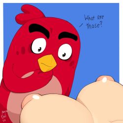 1girls amonzone angry_birds blue_background columbia_pictures fur furry human leni_loud red_(angry_birds) rovio rovio_entertainment sega sony tagme text the_angry_birds_movie the_loud_house white_background