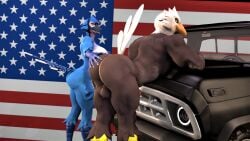 3d_(artwork) accipitrid accipitriform anthro anthro_only ass avian bald_eagle balls big_butt bird bird_(petruz) blue_jay bubble_butt butt_grab corvid digital_media_(artwork) duo eagle erection feathers female flag genitals hand_on_butt hi_res jay_(bird) kyleroo looking_at_viewer male male/female male_anthro male_anthro/female_anthro muscular muscular_male new_world_jay nude oscine passerine penis petruz_(copyright) presenting presenting_hindquarters sea_eagle smile source_filmmaker stars_and_stripes truck_(vehicle) united_states_of_america vehicle