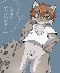 2023 5_fingers anthro balls blush bodily_fluids bottomless brown_hair clothed clothing domestic_cat embarrassed felid feline felis fingers flaccid genitals green_eyes hair hi_res japanese_text jinbuuck kemoizumi looking_at_self male male_only mammal navel neck_tuft one_eye_half-closed pantherine penis shirt shirt_only snow_leopard solo sweat tail text topwear topwear_only translation_request tuft white_clothing white_shirt white_topwear