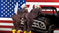 2boys 3d_(artwork) accipitrid accipitriform anthro ass avian bald_eagle balls big_butt bird bird_(petruz) bubble_butt digital_media_(artwork) duo eagle erection feathers flag genitals hi_res kyleroo looking_at_viewer male male_only muscular muscular_male nude penis petruz_(copyright) presenting presenting_hindquarters sea_eagle smile source_filmmaker stars_and_stripes truck_(vehicle) united_states_of_america vehicle