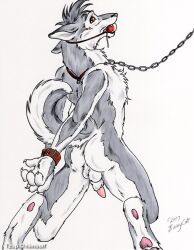 2007 anthro arms_behind_back arms_tied_behind_back ass ass_crack back back_view backsack ball_gag balls ballsack bound_wrists brown_eyes bushycat butt_cheeks butt_crack canid canine chain claws collar dog furry gag gagged husky male mammal pawpads paws penis solo solo_focus solo_male tail testicles