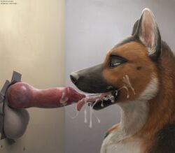 2023 8:7 absurd_res animal_genitalia animal_penis anthro balls bodily_fluids brown_body brown_fur bust_portrait canid canine canine_genitalia canine_penis canis cum cum_drip cum_in_mouth cum_inside cum_on_cheek cum_on_face cumshot cumshot_in_mouth detailed detailed_fur detailed_penis domestic_dog dripping duo ejaculation erection face_closeup fellatio fur genital_fluids genitals german_shepherd glory_hole herding_dog hi_res knot lokoti male male/male mammal oral pastoral_dog penile penis portrait sex shaded side_view text tongue tongue_out url virtyalfobo