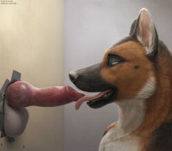 2023 8:7 absurd_res animal_genitalia animal_penis anthro balls bodily_fluids brown_body brown_fur bust_portrait canid canine canine_genitalia canine_penis canis detailed detailed_fur detailed_penis domestic_dog dripping duo ejaculation erection face_closeup fellatio fur genital_fluids genitals german_shepherd glory_hole herding_dog hi_res knot lokoti male male/male mammal oral pastoral_dog penile penis portrait sex shaded side_view text tongue tongue_out url virtyalfobo