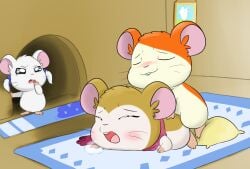 2020 bijou_(hamtaro) bite biting_lip blush bow_accessory buckteeth carpet caught cricetid female female_penetrated feral feral_on_feral feral_penetrated feral_penetrating feral_penetrating_feral framed_picture from_behind_position fur genitals group hamster hamtaro hamtaro_(series) hi_res male male/female male_penetrating male_penetrating_female mammal orange_body orange_fur pashmina_(hamtaro) penetration pillow pink_scarf pussy rodent scarf sex tan_body tan_fur teeth trio upset white_body white_fur yumei