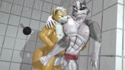 2boys 2males anal animated anthro bathroom canine exhibitionism fix fox_mccloud gay gay_sex male nintendo penetration public shower sound source_filmmaker star_fox tagme tiggyafterdark tigura video wolf wolf_o'donnell