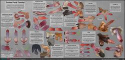 absurd_res anatomy animal_genitalia animal_penis balls bodily_fluids canid canine canine_genitalia canine_penis canis cum domestic_dog educational english_text feral genital_fluids genitals hi_res how-to knot mammal penis sheath stygimoloch_(artist) text vein wolf