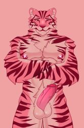 anthro crossed_arms csmarcus felid fur genitals hi_res humanoid_genitalia humanoid_penis looking_at_viewer male mammal muscular nipples pantherine penis pink_body pink_eyes pink_fur presenting presenting_penis simple_background solo stripes tiger