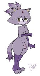 alekoin anthro balls blaze_the_cat blush bodily_fluids breasts circumcised clothing domestic_cat felid feline felis fur genitals gloves gynomorph handwear hi_res intersex legwear mammal navel nipples penis purple_balls purple_body purple_fur purple_nipples purple_penis sega shy slim solo sonic_(series) sonic_the_hedgehog_(series) stockings sweat sweatdrop wide_hips