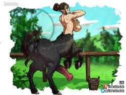 1futa animal_genitalia_on_humanoid areolae back back_view balls big_breasts big_penis breasts centaur donut_anus equid_taur erect_penis erection full-package_futanari futa_only futanari horse_anus_on_humanoid horse_pussy_on_humanoid horsecock horsecock_on_humanoid huge_balls huge_cock humanoid intersex light-skinned_futanari light_skin looking_back nipples nsfwblackle nude penis solo standing taur