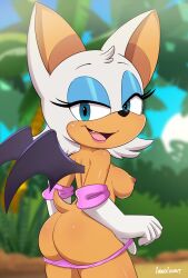 rouge the bat from sonic (series) by cubedcoconut