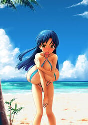 bb blush breasts idolmaster large_breasts nipples swimsuit