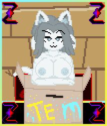box breasts breasts_out cat_ears cat_tail catgirl nipples pixel_art self_upload tail temmie temmie_(undertale) text undertale undertale_(series) zixy