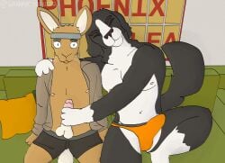 absurd_res accessory anthro balls big_penis border_collie boxer_briefs briefs canid canine canis closed_eyes clothed clothing collie detailed_background domestic_dog duo erection ezra_anzaldo_(wannabeyourdog2) furniture genitals hand_on_penis headband herding_dog hi_res inside keith_wesson_(wannabeyourdog2) lagomorph leporid looking_at_viewer male male/male mammal nervous open_clothing open_shirt open_topwear orange_briefs orange_clothing orange_underwear partially_clothed pastoral_dog paws penis pupils rabbit sheepdog shirt sitting size_difference slim small_but_hung small_pupils smile sofa topwear underwear underwear_down wannabeyourdog2 whiskers