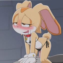 ai_generated bikini black_micro_bikini collar cowgirl_position cream_the_rabbit furry furry_ears furry_female furry_tail micro_bikini rabbit rabbit_ears rabbit_girl rabbit_tail sex sonic_(series) sonic_the_hedgehog_(series)