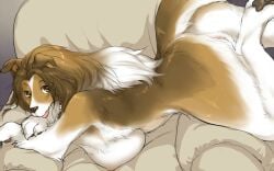 animal_feet animal_hands armchair body_fur brown_eyes brown_fur brown_hair canid canine chair claws collie commentary_request completely_nude digitigrade dog_girl domestic_dog female full_body furry furry_female gradient_hair kikurage_(crayon_arts) long_hair looking_at_viewer multicolored_hair nude original solo tongue tongue_out white_fur white_hair