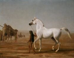 19th_century ambiguous_gender ancient_art animal_genitalia animal_penis arabian arabian_horse ass balls basket black_hair brown_body brown_fur brown_skin camel camelid closed_smile clothed clothing container desert equid equine equine_genitalia equine_penis feet feral fingers flaccid formal_art fur genitals green_clothing group hair halter hi_res holding_leash holding_object hooves horse human jacques-laurent_agasse leash male mammal mouth_closed open_mouth outside painting_(artwork) penis real_world riding shaded shadow side_view smile snout soft_shading tail toes traditional_painting_(artwork) walking wellesley_arabian white_body white_fur
