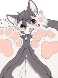 animal_feet animal_hands black_fur black_hair body_fur cat_girl claws commentary_request completely_nude feet female foot_focus furry furry_female hands_up kikurage_(crayon_arts) looking_at_viewer nude open_mouth original purple_eyes pussy short_hair simple_background solo tail white_background