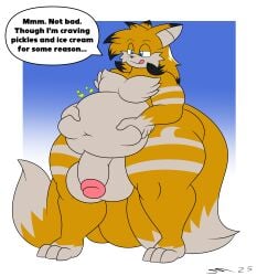 absurd_res anthro balls belly big_belly black_body black_fur blue_eyes canid canine digestion dirtymac fox fur genitals grey_body grey_fur hi_res huge_thighs humanoid_genitalia humanoid_penis implied_reformation male male_pred mammal oral_vore penis sega solo sonic_(series) sonic_the_hedgehog_(series) tails tails_(disambiguation) tails_the_fox thick_thighs vore weight_gain yellow_body yellow_fur