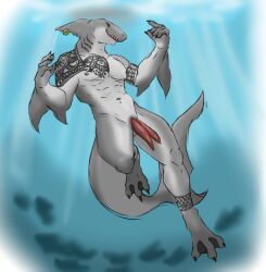 2_penises animal_genitalia animal_penis anthro arm_tattoo black_sclera diphallia diphallism erection fin fin_piercing fish furgonomics furry-specific_piercing genital_slit genitals gills hemipenes howling4uwu male marine multi_genitalia multi_penis navel penis piercing shark shoulder_tattoo solo swimming tapering_penis tattoo tribal tribal_tattoo underwater water