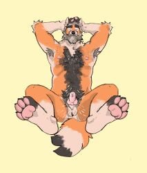 2024 animal_genitalia animal_penis anthro arm_tuft armpit_hair ass ball_tuft balls beard belly_hair black_hair blue_eyes bodily_fluids body_hair butt_hair canid canine canine_genitalia canine_penis chest_hair corruptedsnout dripping elbow_tuft erection facial_hair feet fox genital_fluids genitals greying_hair hair hairy hairy_balls hands_behind_head hi_res high-angle_view legs_up looking_at_viewer lying male mammal manly mature_male moustache navel nipples on_back penis perineum precum precum_drip pubes reclining simple_background slightly_chubby solo tuft