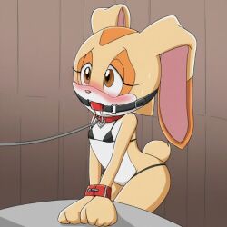 cream the rabbit from sonic (series)