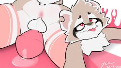<3_eyes anthro anus balls bodily_fluids clothing fangs fur genital_fluids genitals heart hi_res legwear male male_focus male_only mammal multiple_angles penis precum procyonid raccoon saliva solo solo_male teeth thigh_highs tongue tongue_out
